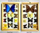 Mounted Butterflies Mothers Day Gift