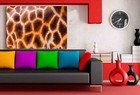 Bild 2 von 5