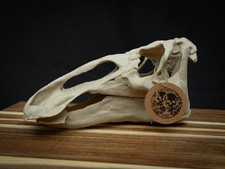 مقتنيات 3D Printed