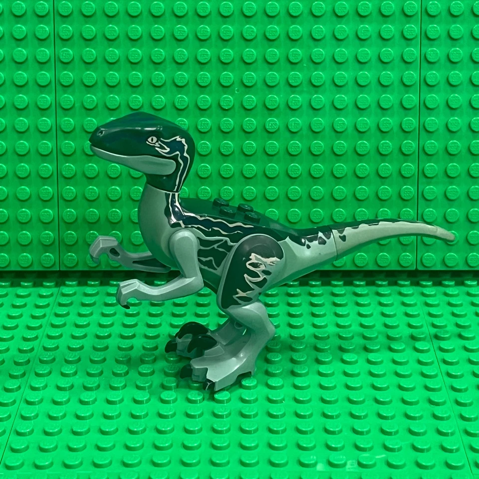 LEGO Dinosaurio Raptor / Velociraptor con Espalda Verde Oscuro y Azul Oscuro: Raptor07 Foto 2 de 3