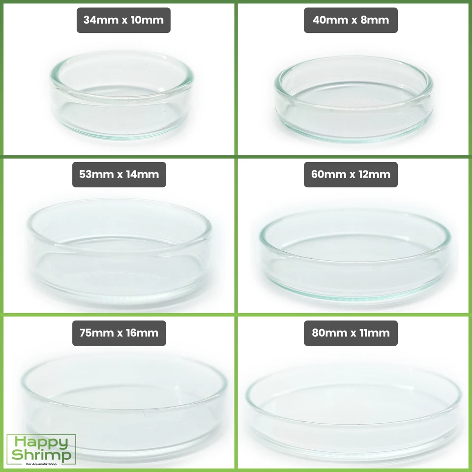 MARKENLOS Futterschale aus Glas für Aquarium & Terrarium | Garnelen Schnecken Welse Fische