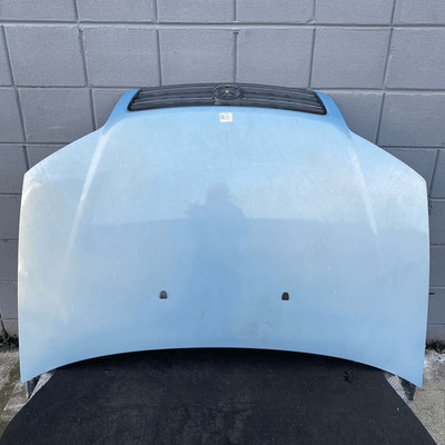 51741257 Fronthaube  FIAT PUNTO VAN (2U) 1.2 Bi-Power 2 posti Van 3p/b-m/1242cc