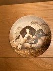 New Listingcollector plates