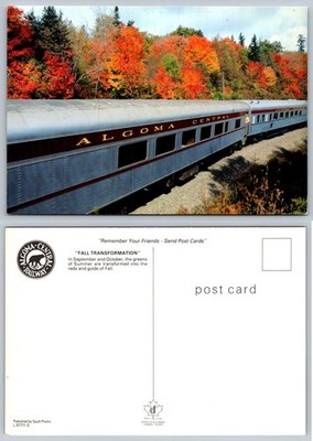 Algoma Central Railway Train Fall Foliage Postcard Ontario Canada Scenic