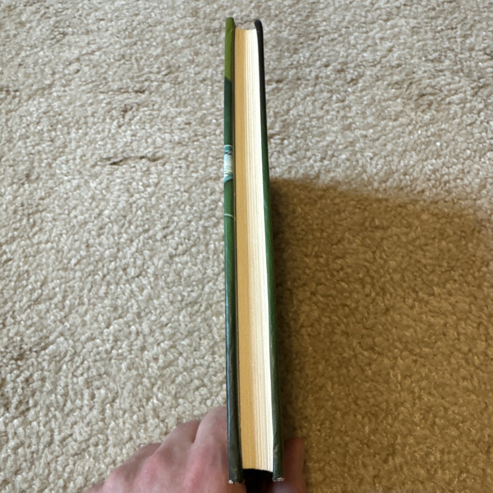 Picture 3 of 5