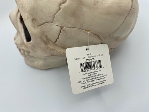 Skull Spooky Decoration Medium Skeleton Skull with Hinged Jaw 5.87"x5.5" - Picture 7 of 10