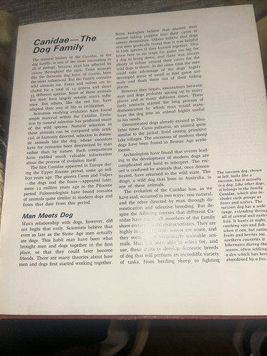 The Illustrated Encyclopedia of the Animal Kingdom Volume 3 - Picture 7 of 8
