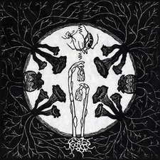 MAGIC TUBER STRINGBAND Tarantism Records & LPs New