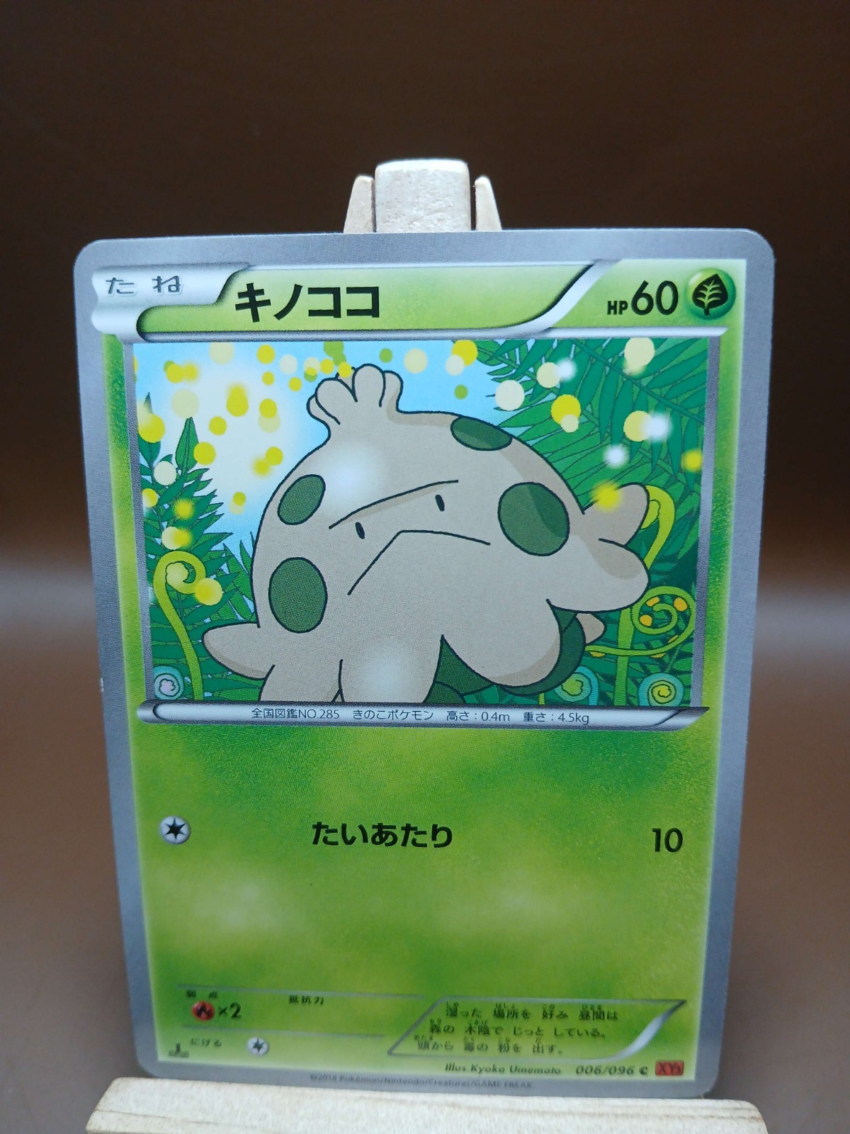 HP Pokemon Card Japanese - Shroomish 006/096 - XY3 - 1st Ed