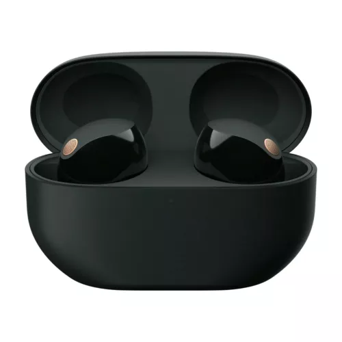 Sony WF-1000XM5 The Best Truly Wireless Bluetooth Earbuds Headphones - Black