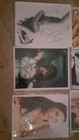 Bild 2 von 8