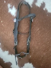 VINTAGE "UNION PACIFIC RAILROAD" Bridle With Rosettes And Bit  