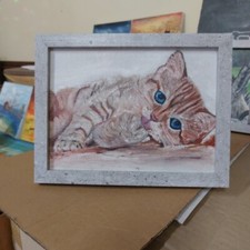  Quadro Dipinto gatto Gattino Cucciolo Olio Su Tela 20x15cm  Cornice