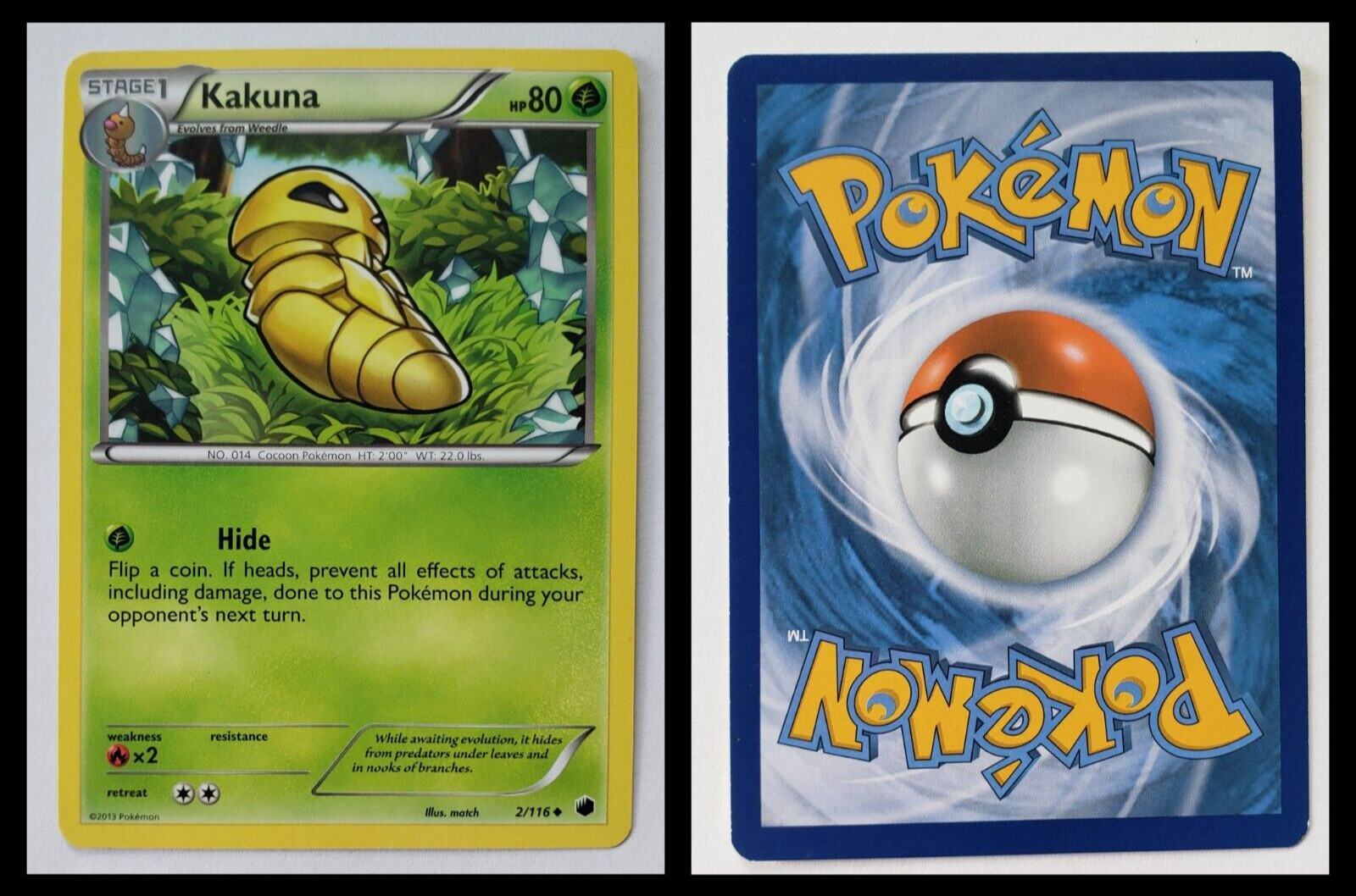 2013 Pokemon KAKUNA Card TCG 2/116 Plasma Freeze Team Stage 1 HP 80 MINT! (A)
