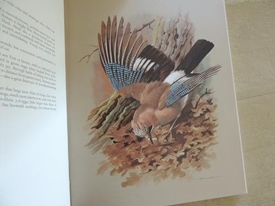 Birds of Town and Village by William Donald Campbell 0600430219 FREE Shipping