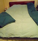 Coming Home Green Reversible Goose Down Full Size Comfortor 84" x 78"