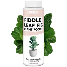 Fiddle Leaf Fig Plant Food for All Fig and Other Ficus Trees, Liquid Housepla...