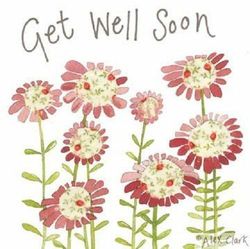 Alex Clark Sparkle Card get well soon pretty flowers