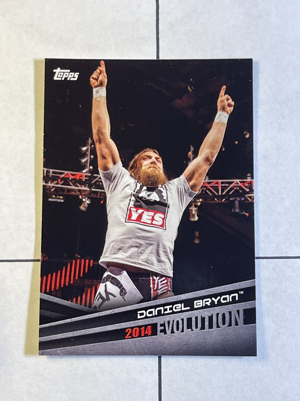 Daniel Bryan 2018 Topps WWE Evolution Insert #E-13
