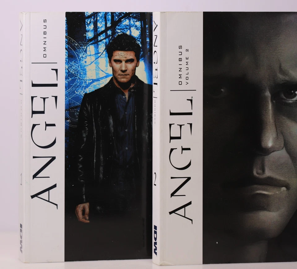 Tischman, David: Angel Omnibus Volumen 1 y 2 TP RARO OOP IDW Juego de Novela Gráfica Foto 2 de 4