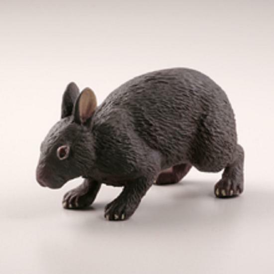 Kaiyodo Capsule Museum Q Japan Exclusive Okinawa Black Amami