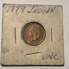 1899 Indian Head Cent Uncirculated UNC Coin