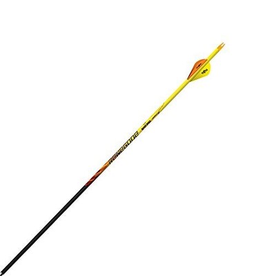 Black Eagle Renegade Fletched Arrows 6pk, .005'' 250 Spine (173): NEW, Free Ship