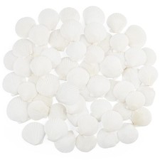 60 PCS White Scallop Shells 1.52 Inch Natural Seashells Crafts Vase Filler