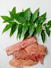 25g Ceylon Neem Bark Sun Dried 100 Natural Premium Organic Free Shipping