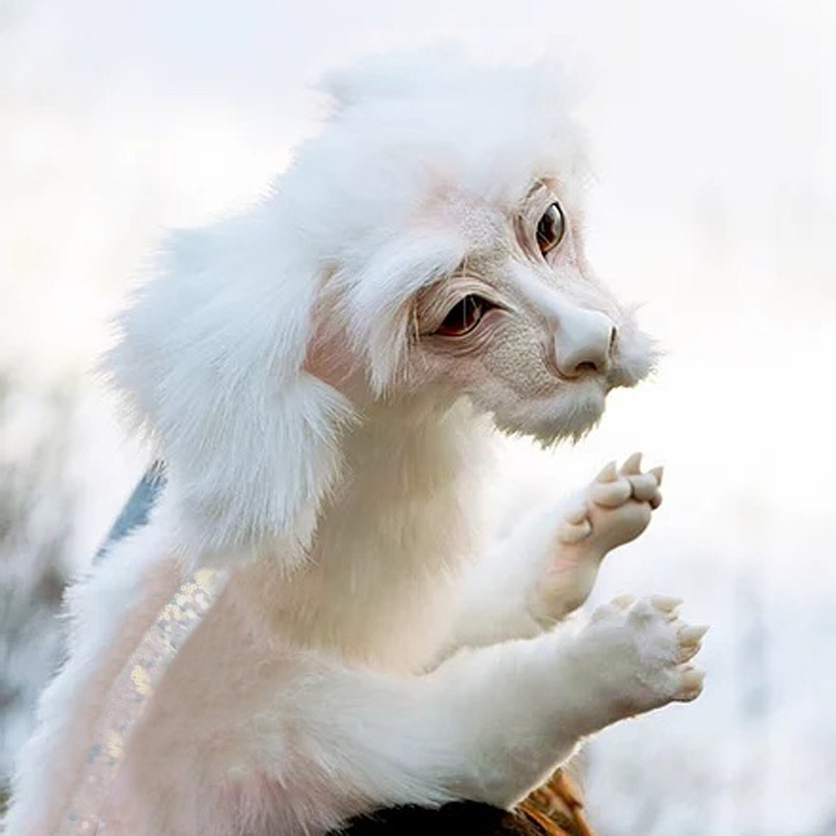 Peluche Falkor Fuchur L'Histoire Sans Fin - Jouet Collector, Blanc, Cadeau Fantasy