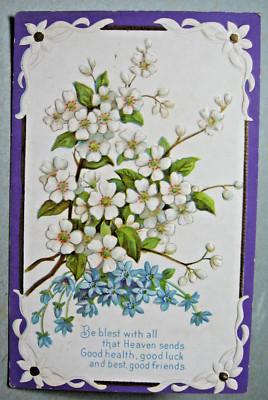 1912 era ''Be blest with all that Heaven sends.....'' Greeting Floral Postcard
