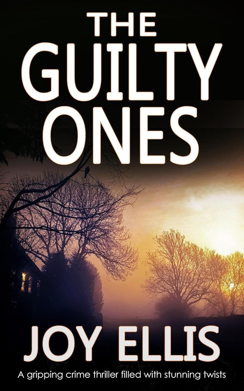 The Guilty Ones: Jackman & Evans 4 - Joy Ellis (Paperback, 2020)
