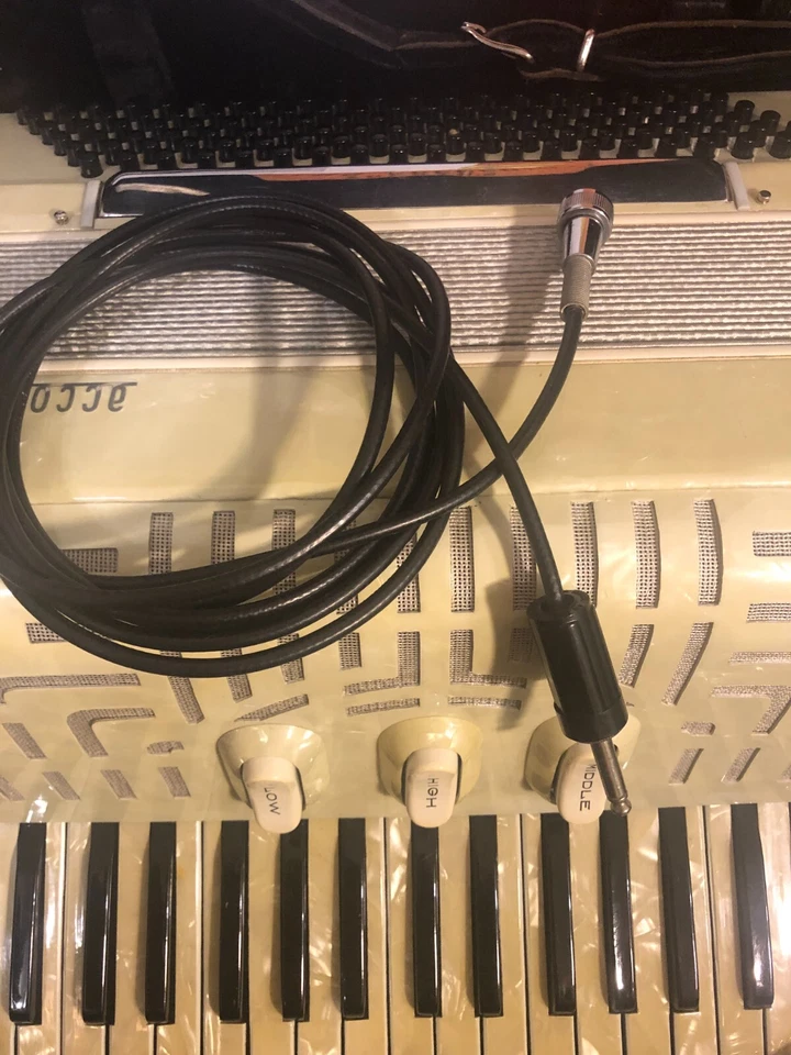 Excelsior Acordiana 345 - 120 acordeón bajo con pastilla de micrófono, correas, estuche Foto 4 de 4