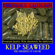 SEA KELP IODINE No Additives Fresh Atlantic High Potency 100 Vegetable Capsules