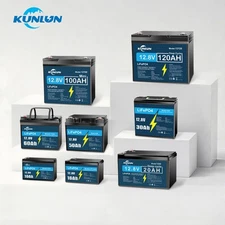 12V 10Ah 30Ah 50Ah 60Ah 100Ah 120Ah LiFePO4 Lithium Battery BMS For RV Boat  US