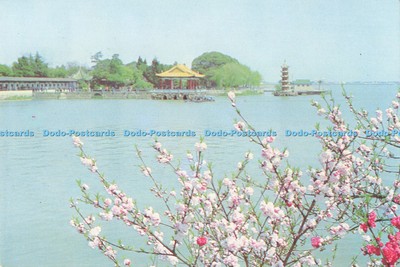 D287961 Frühling kommt in Li Yuan Li Garten