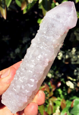 147g WOW! Natural Super Seven Skeletal Mace Amethyst Quartz Crystal Reiki ip1269