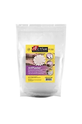 Activa Products Art Plaster 5 lb. can