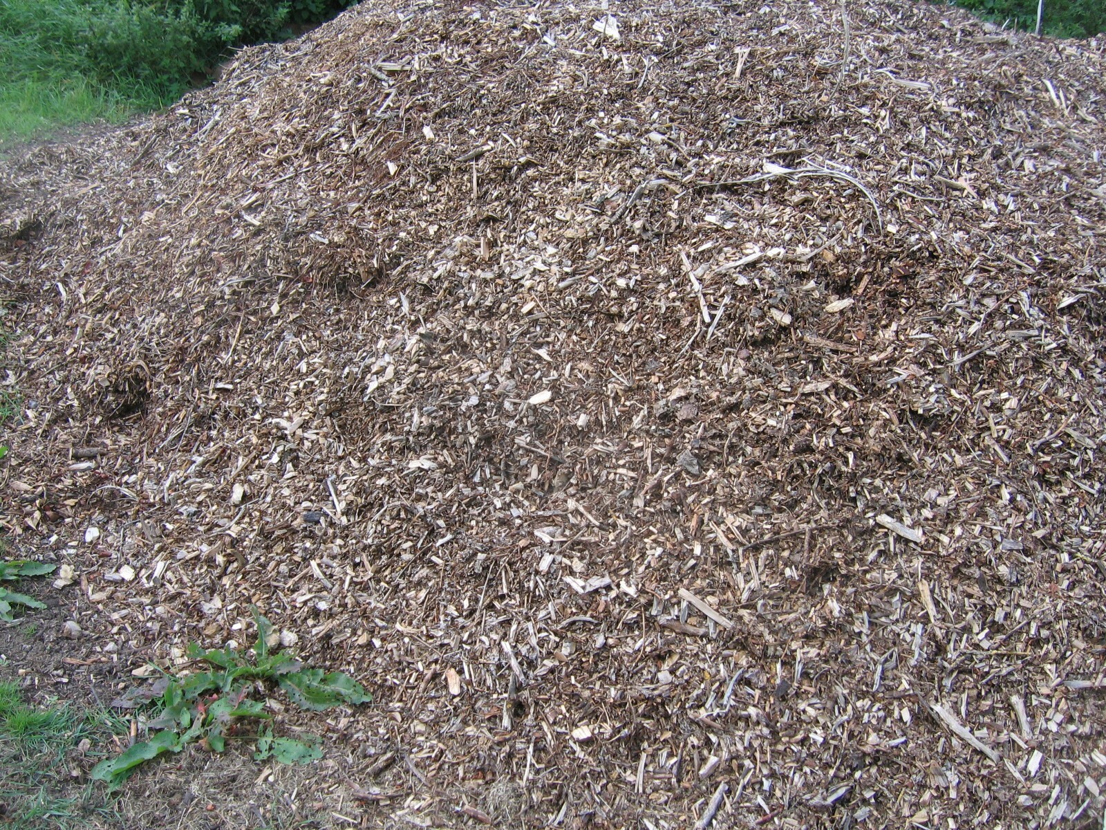 Wood Mulch eBay