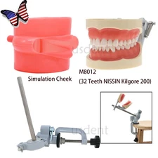 US 200 Kilgore Nissin Dental Typodont Model 32pcs Removable Teeth Mounting Pole