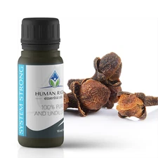System Strong Essential Oil Blend from HROILS.com