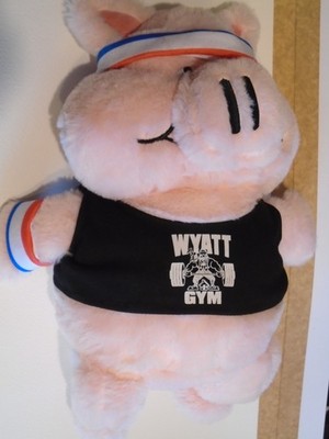 WWE SELTEN AUTHENTISCH Huskus der Schweinejunge Plüschtier Unterweltler Bray Wyatt Glühwürmchen Funhouse