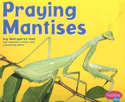 Praying Mantises (Bugs, Bugs, Bugs) - Paperback By Hall, Margaret - GOOD