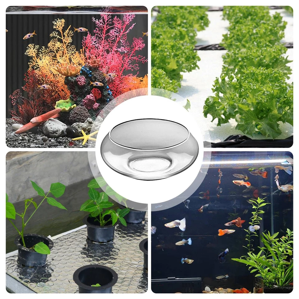 Fish Bowl Glass Large Hydroponics Flower Pot Shallow Round Wide - image 3 of 4