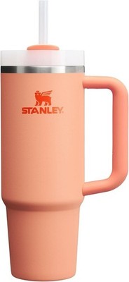 STANLEY Quencher H2.0 Tumbler with Handle and Straw 30 oz | Flowstate 3-Position