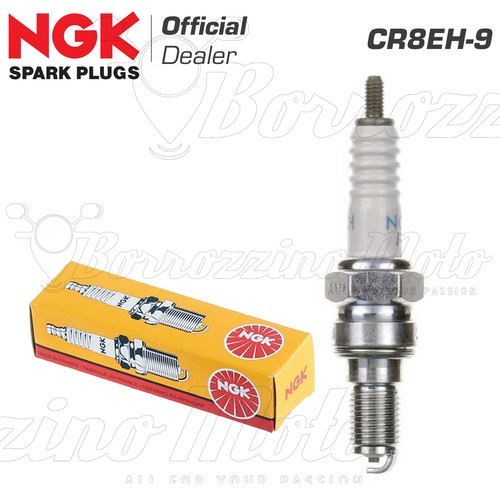 4 NGK CR9EH-9 Zündkerzen - HONDA CBF600 N/S PC38 - CBR600F PC25 PC31