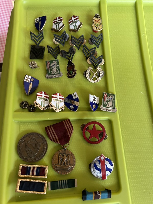 Army Pins And Medals Lot