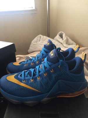 blue and gold gym shoes