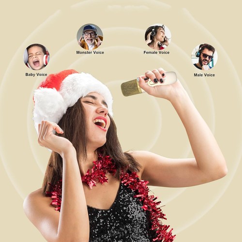 Karaoke Maschine Tragbarer Lautsprecher Bluetooth Speaker 2 Kabellose Mikrofone - Afbeelding 2 van 12
