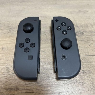 NINTENDO SWITCH HAD-S-KA Ⓙ